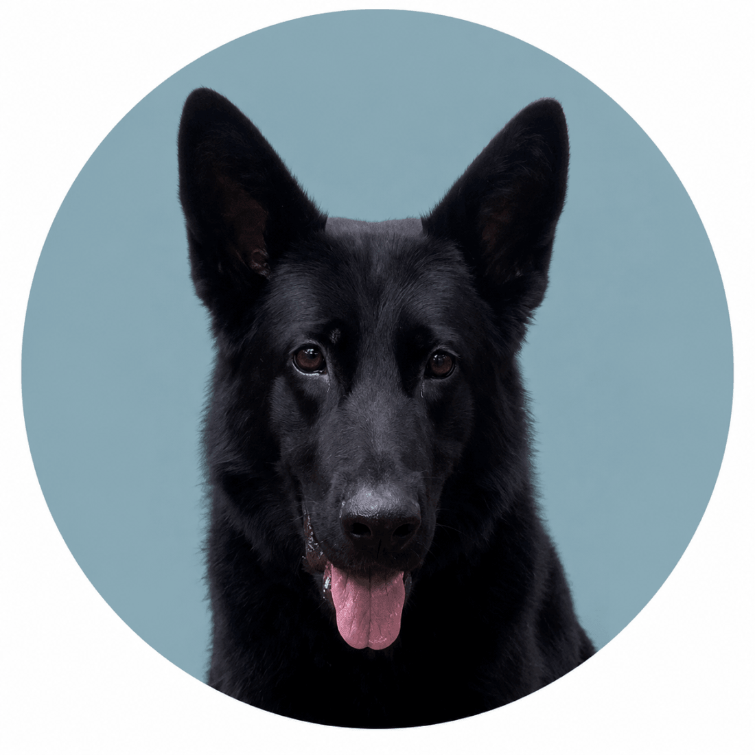 Kaia blauer Hintergrund Kaia blauer Hintergrund